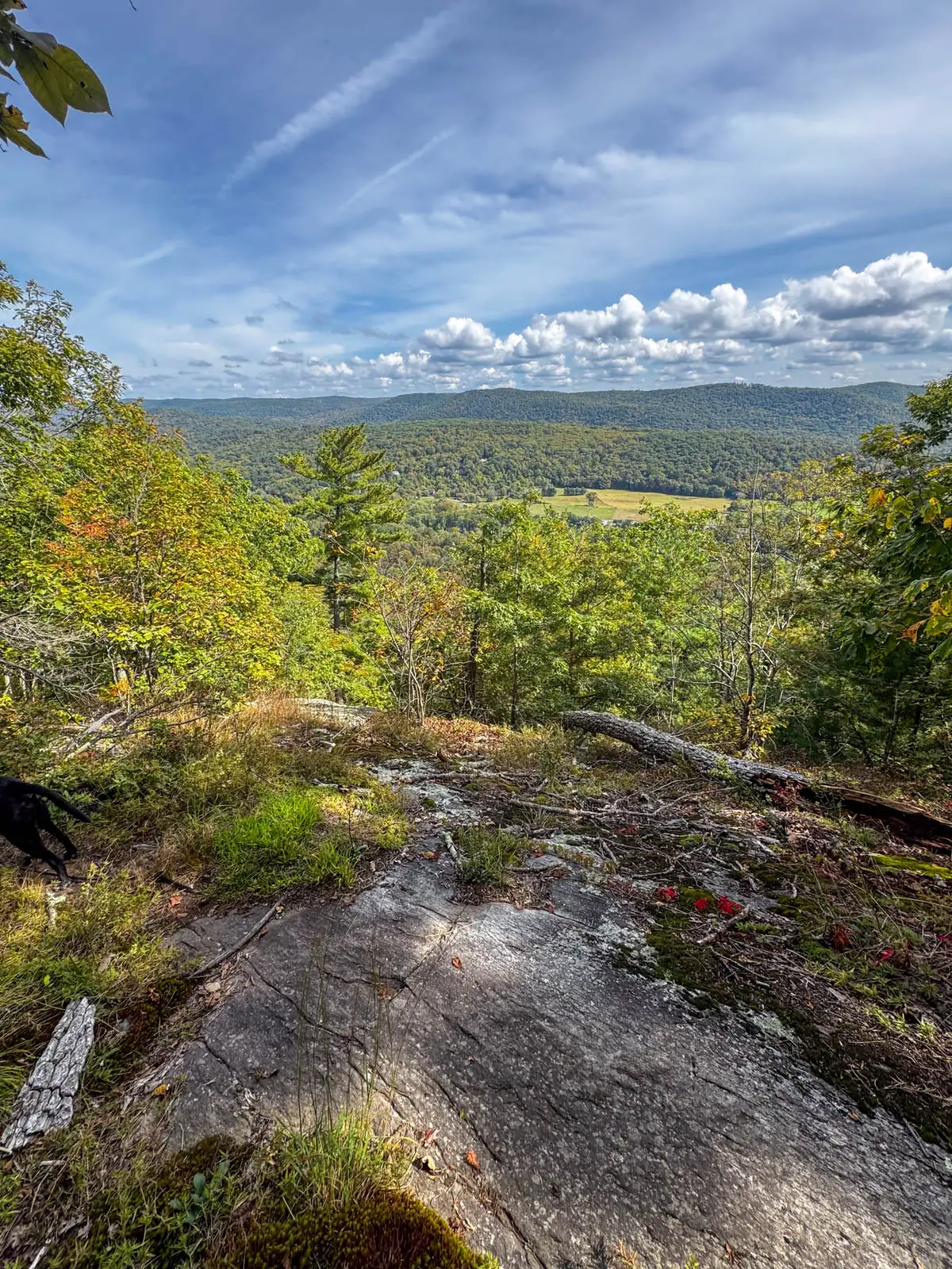 view from a hike in connecticut in fall with green and gold leaves lining the rolling hill in distance.