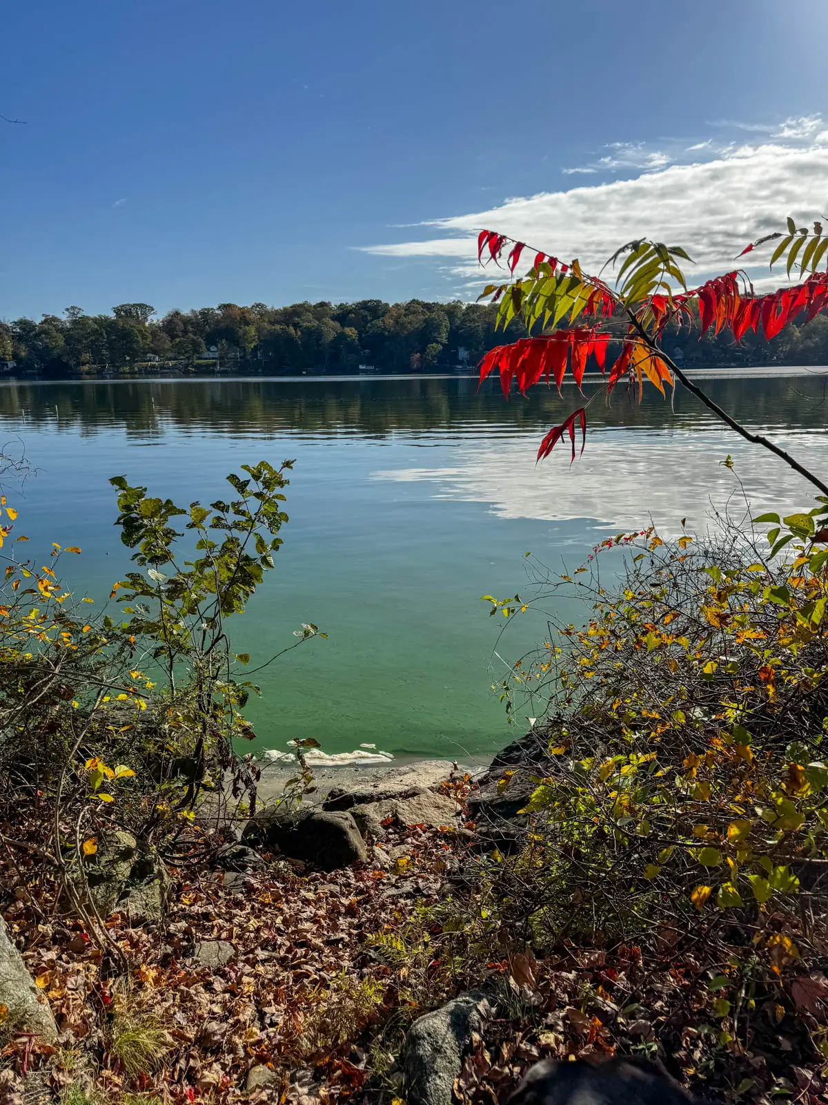 bright blue green lake with faint line of autumn colored trees in the distance.