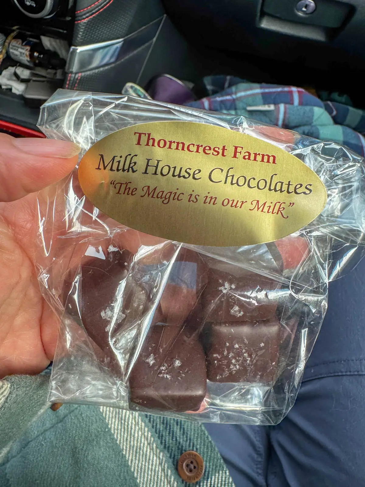 plastic bag with four small square chocolate truffles inside.