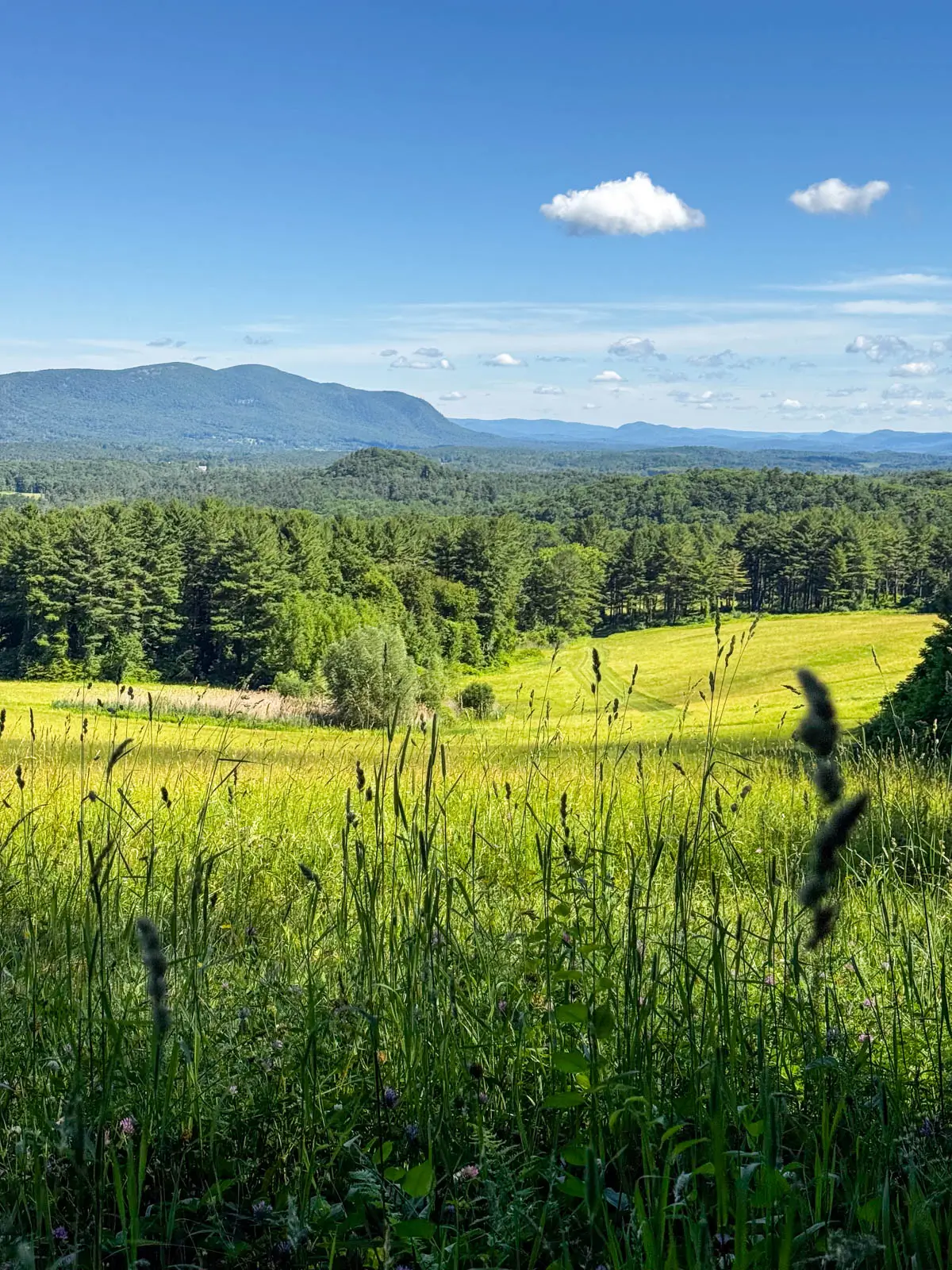 wide open green meadow view with rolling hills int he distance and blue sky above with white fluffy clouds.