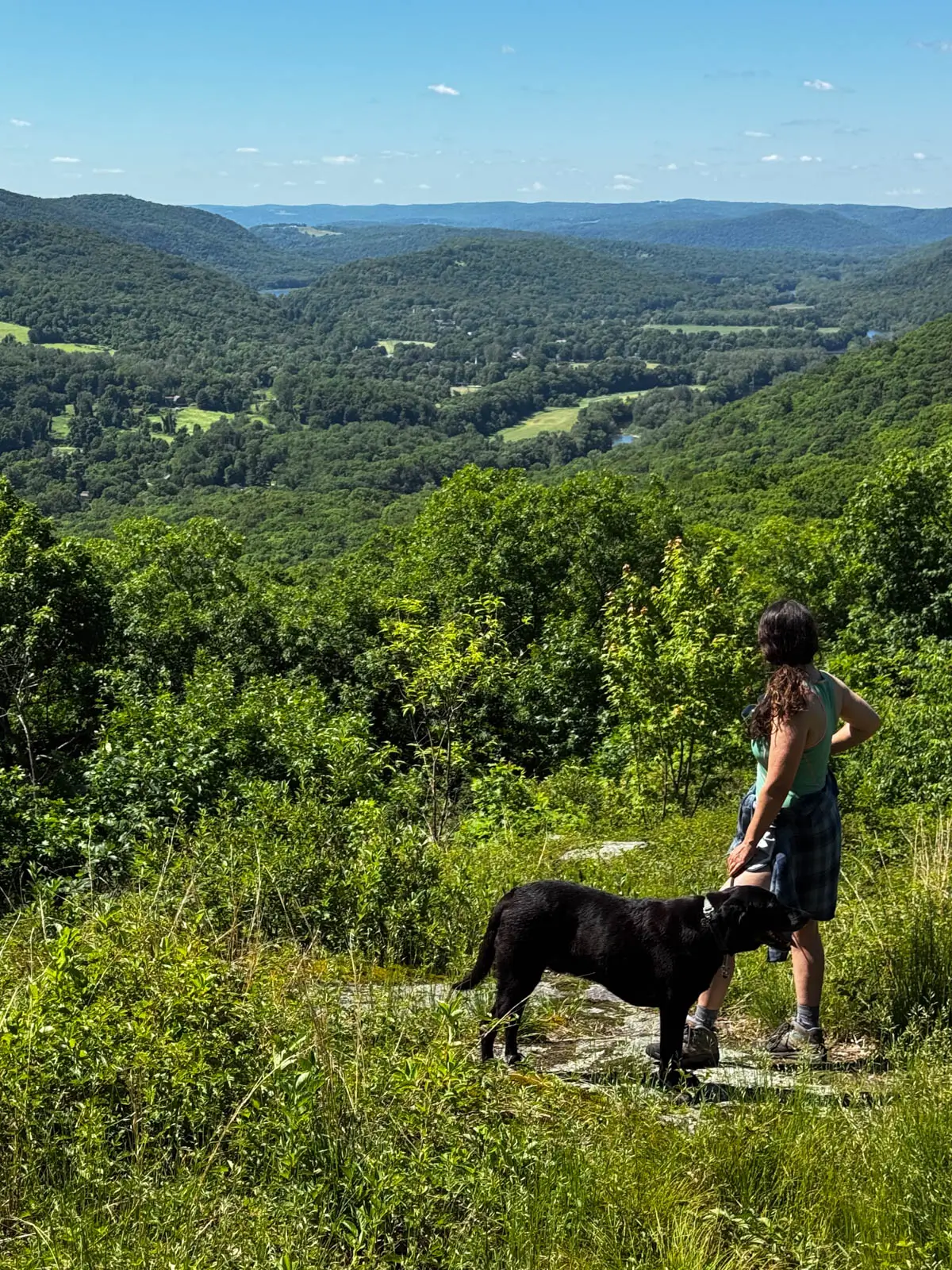 brunette woman looking out from top of mountain with black dog next to her and rolling green hills and valley in the distance in summer with blue sky above.