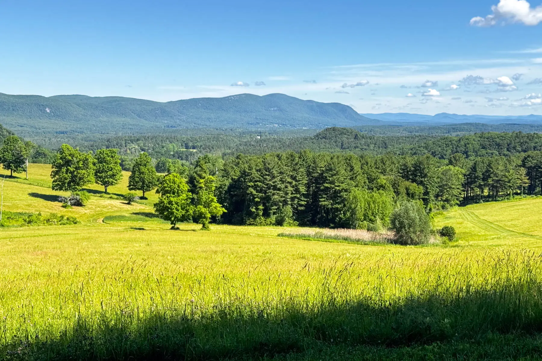 wide open green meadow view with rolling hills int he distance and blue sky above with white fluffy clouds.