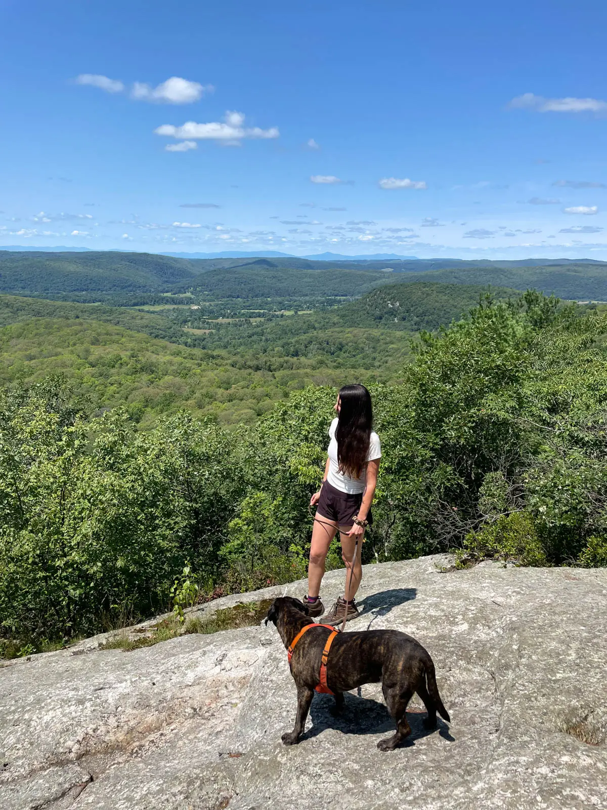woman standing on cliff in connecticut with brown dog and green rolling hills in distance behind them and blue sky above.