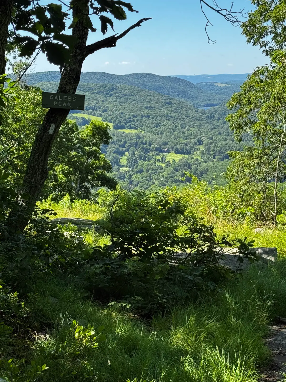 view of rolling hills and a green valley on a summer day in Connecticut.