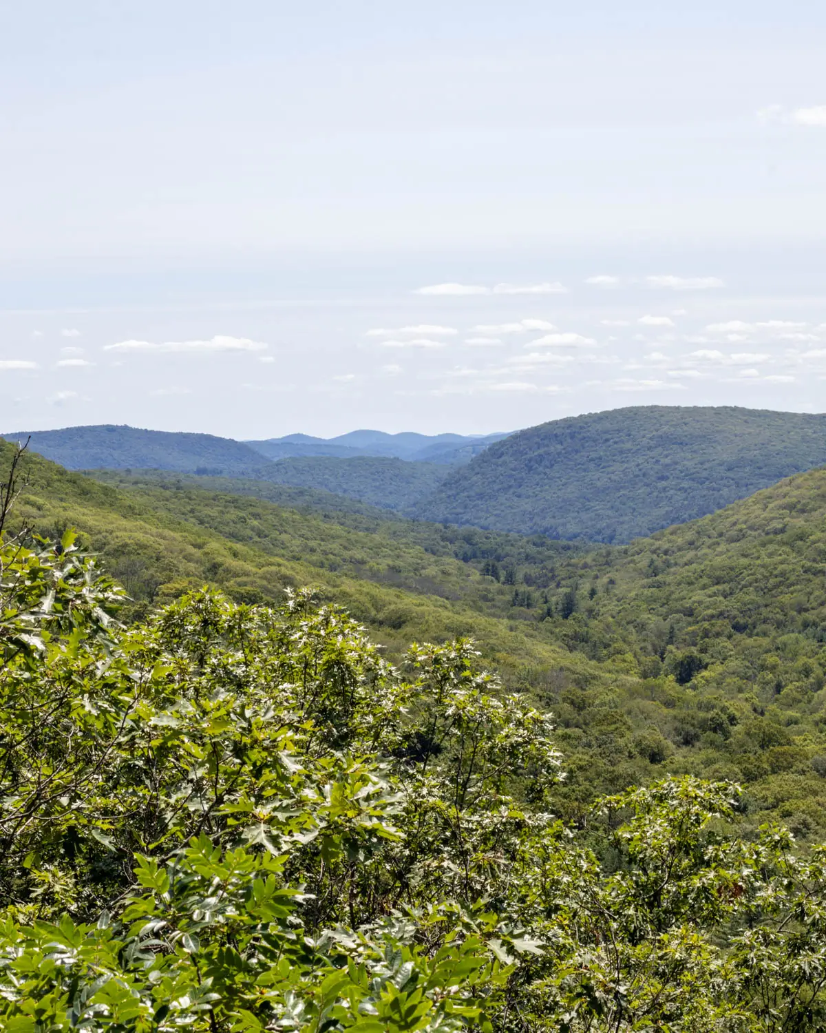 view of green valley.