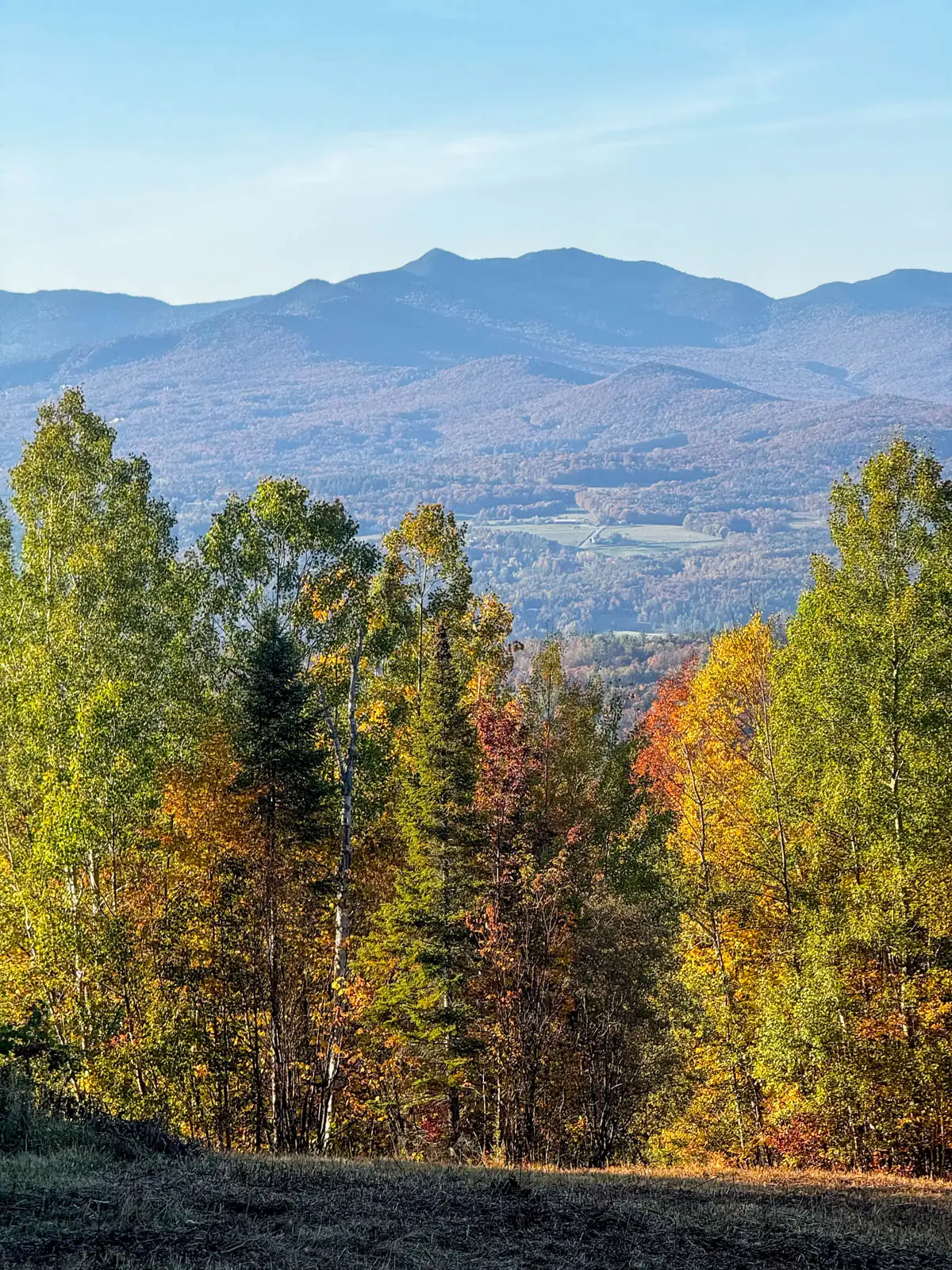 view of open meadow at sunrise time with soft golden sky on a hike in fall in stowe with hills of orange, red, and green trees and rolling hills and big mountain in distance.