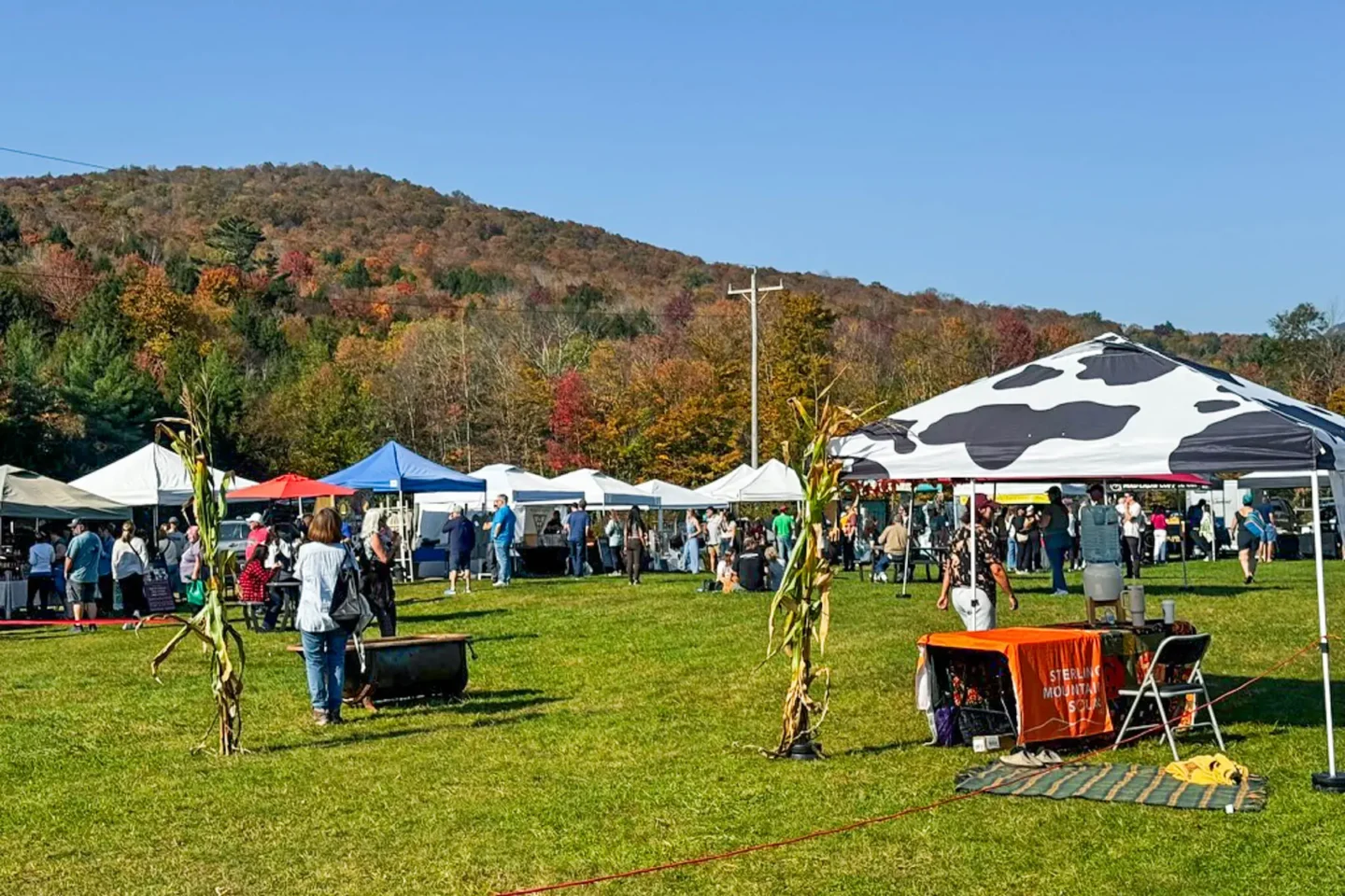 a farmers market in stowe vermont in the fall with white tents set up on a green lawn and an orange hill in the distance.