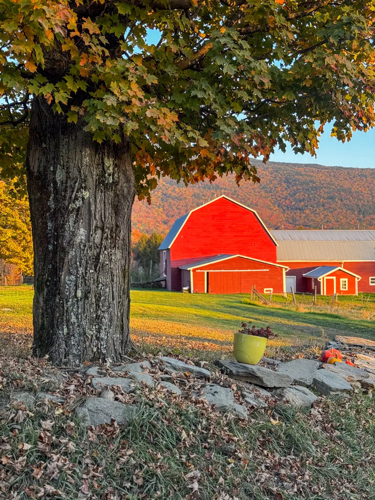 bright red barn at sunset time in stowe vermont with orange colored mountain range behind it in fall.