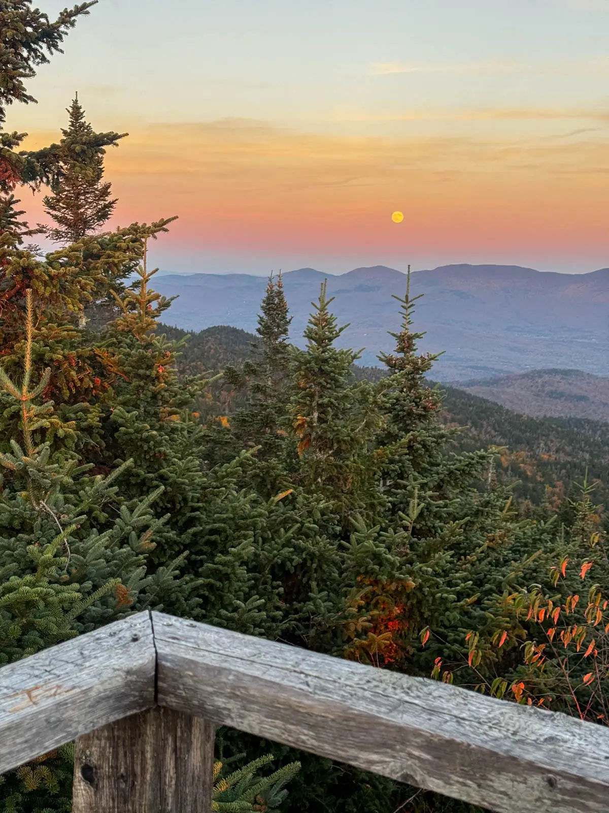 view from a wooden tower with tall green pine trees and silhouette of mountains in distance and orange moon rising above the mountain range at sunset time with soft pink sky.