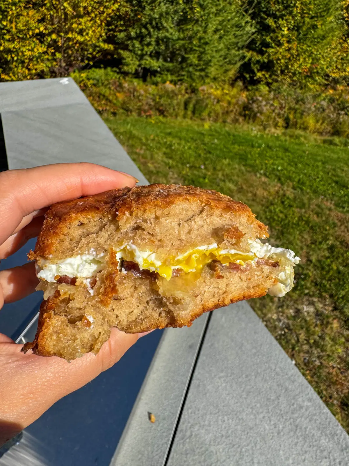 a white woman's left hand holding a biscuit sandwich with egg and cheese inside.