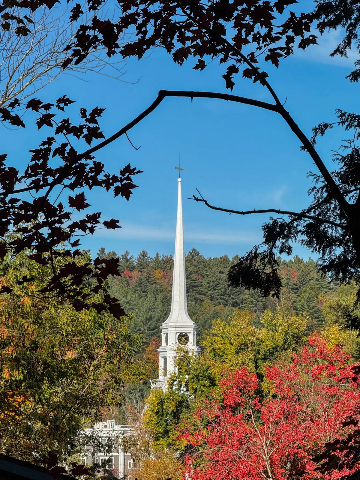 white steeple of church in distance surrounded by red and green trees in the fall and a blue sky above.