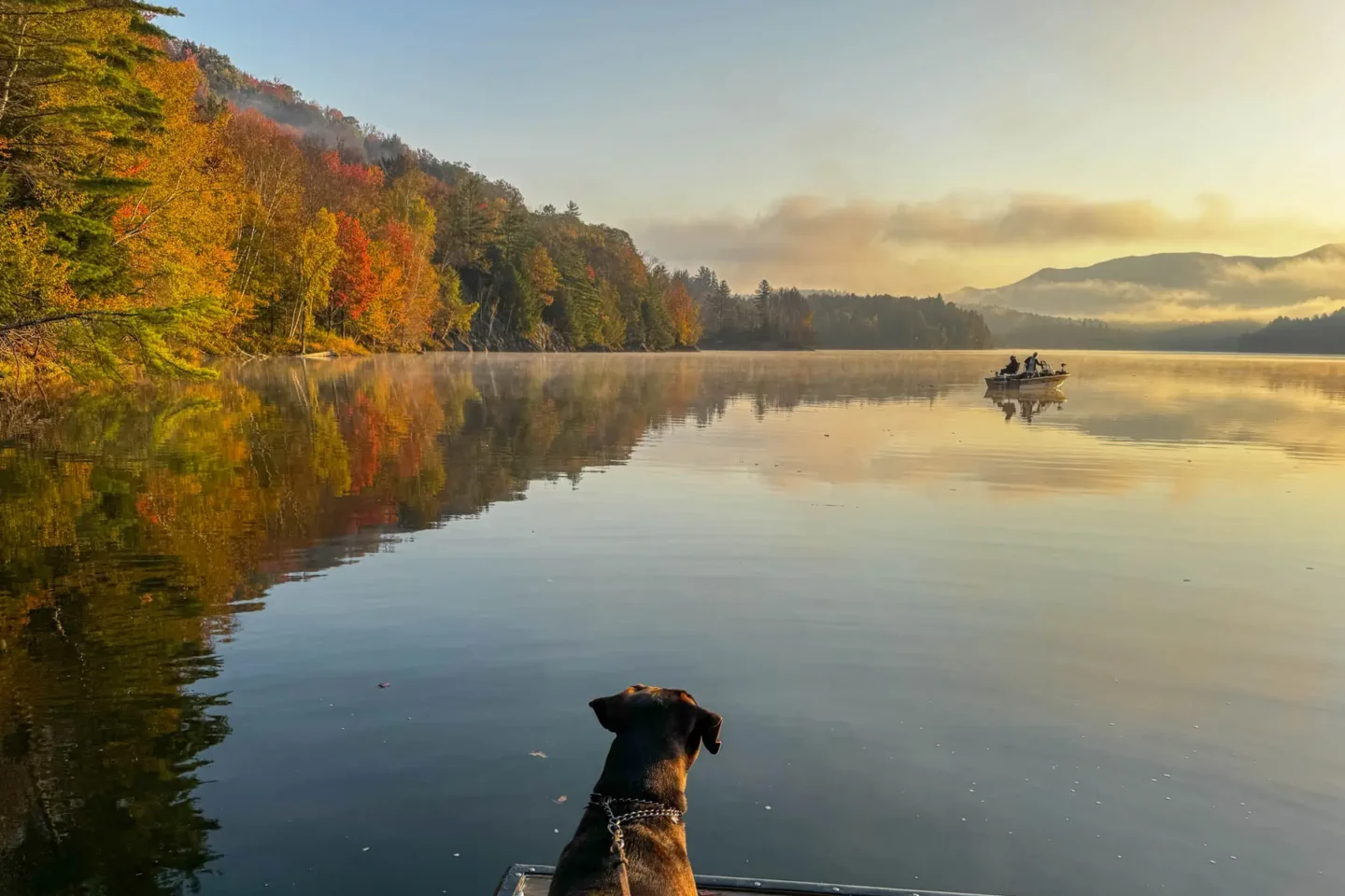 a lake at sunrise in fall with layer of thin fog on the lake and far side of lake lined with dark green pine trees and orange colored trees and a cloudy sky with hint of an orange glow.