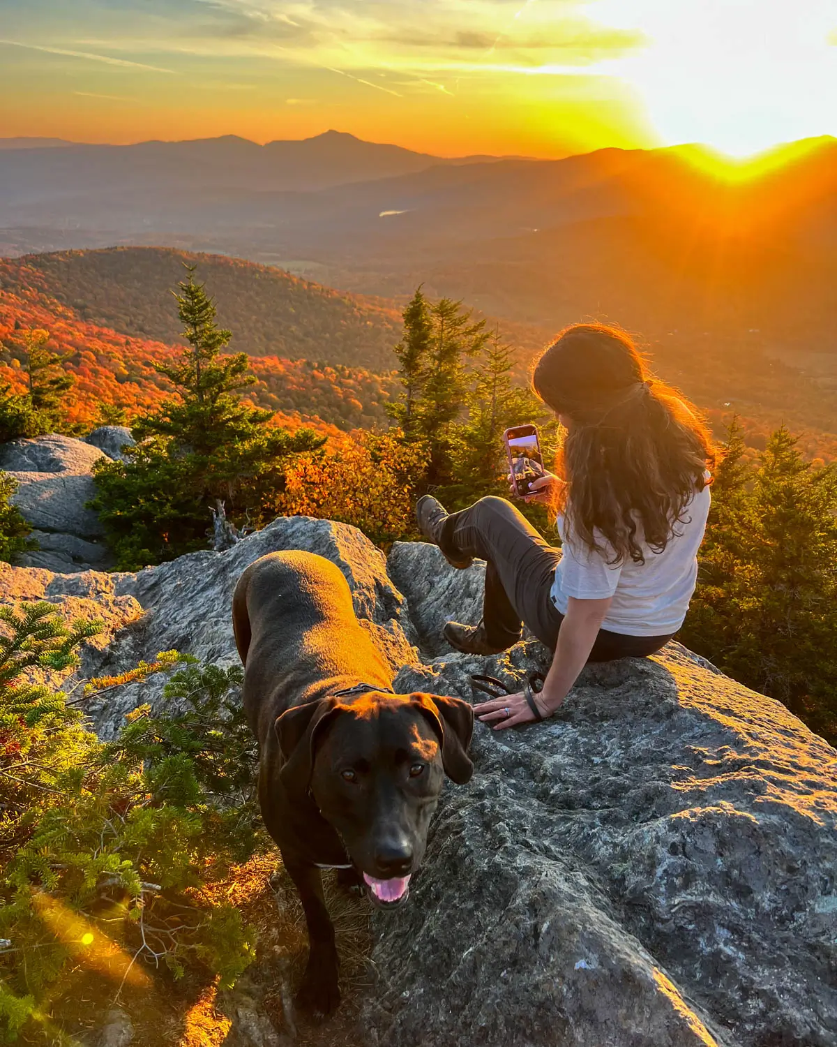 woman in blue t-shirt and big brown dog at top of stowe pinnacle hike in fall at sunset time with view of bright orange colored mountains rolling in the distance and soft orange glow in the sky.