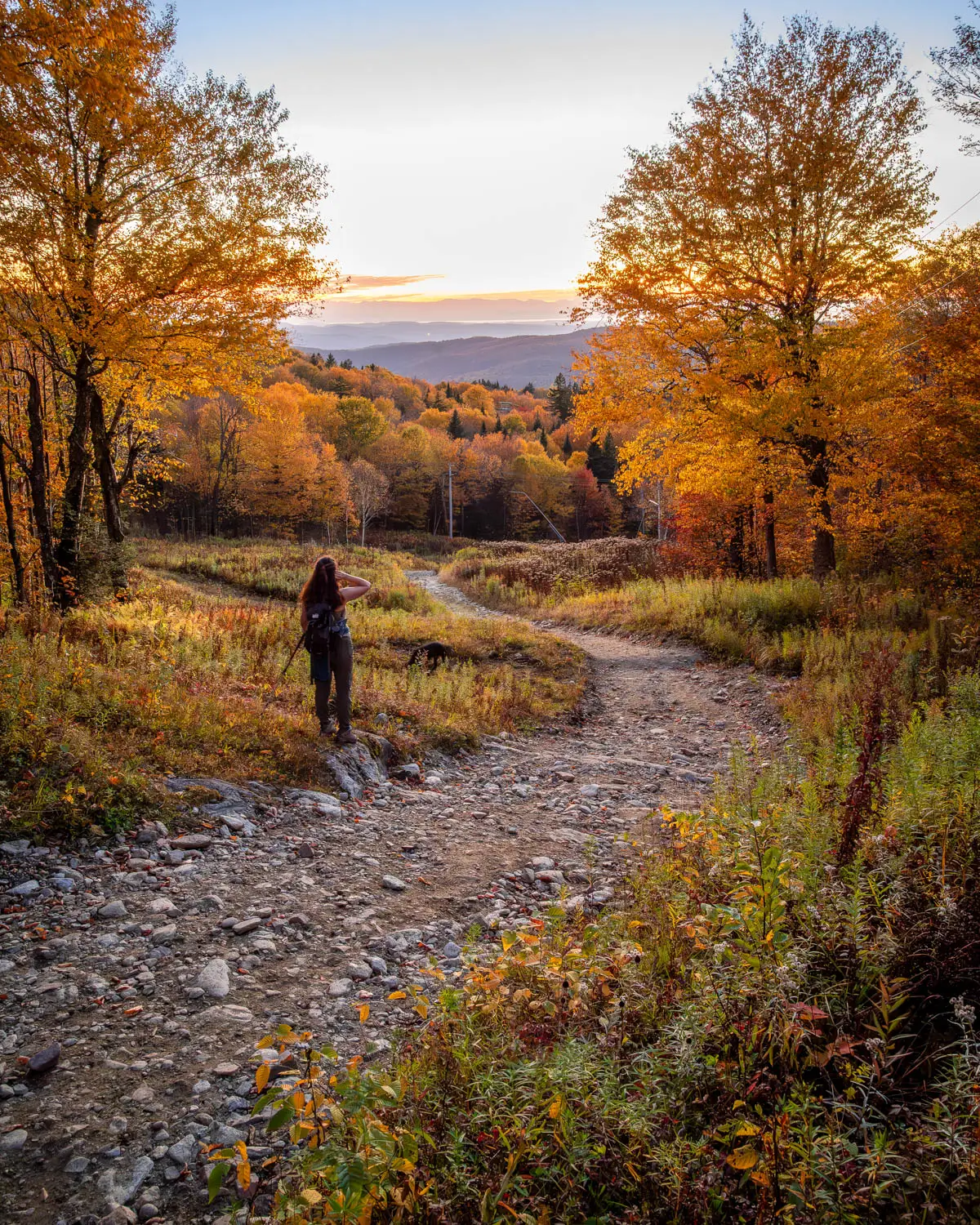 silhouette of back of woman walking down a trail at sunset time in fall with the gravel path lined with orange trees that are glowing in the sunset light.