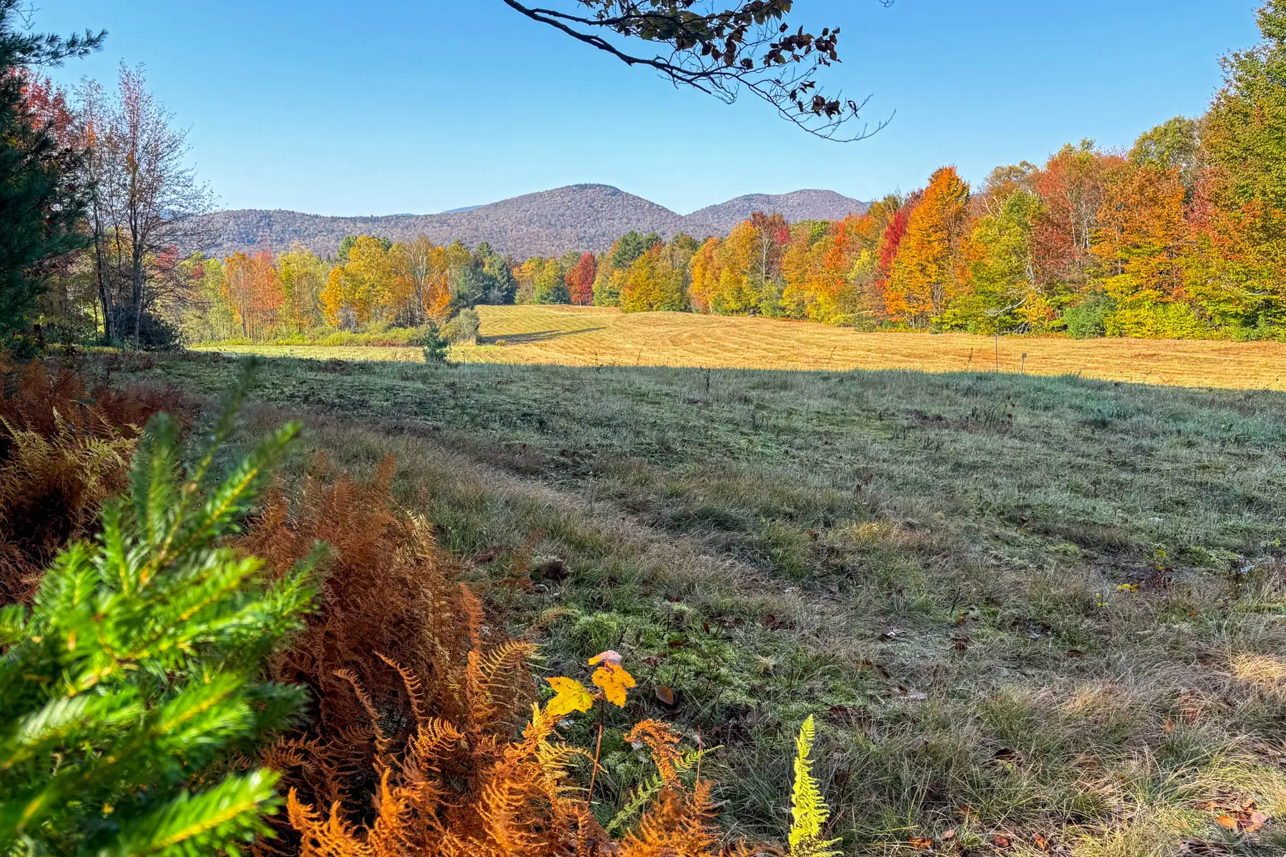 view of open meadow on a hike in fall with hills of orange and green trees in the distance and blue sky above.
