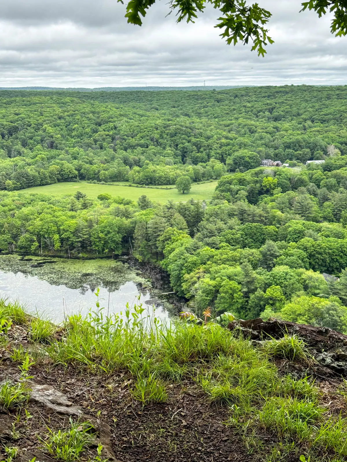 view from a hike with small lake below surroounded by rolling green lawn and green trees with overcast sky.