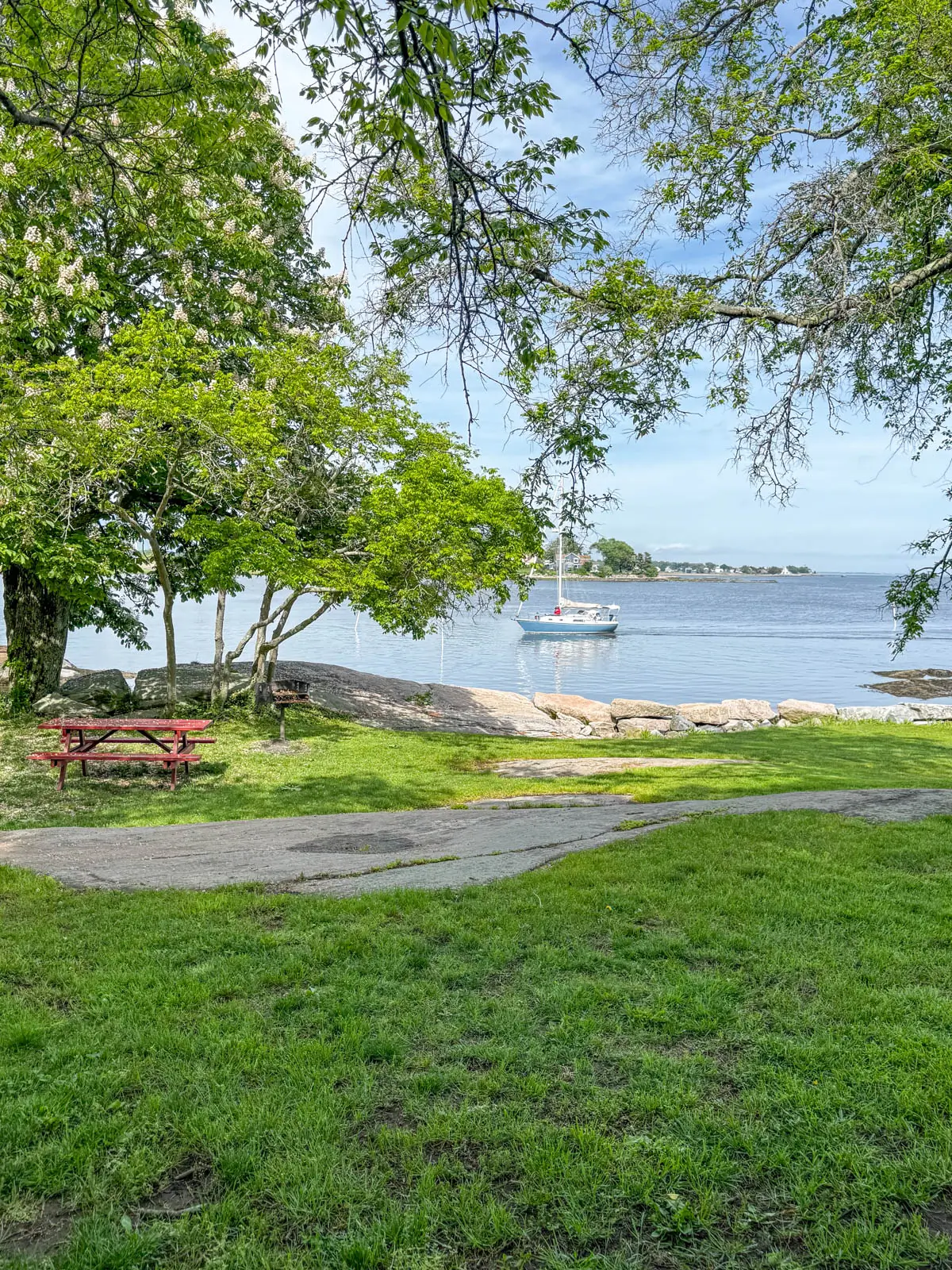 view of green grass and long island sound beyond the grass with white sailboat going by.