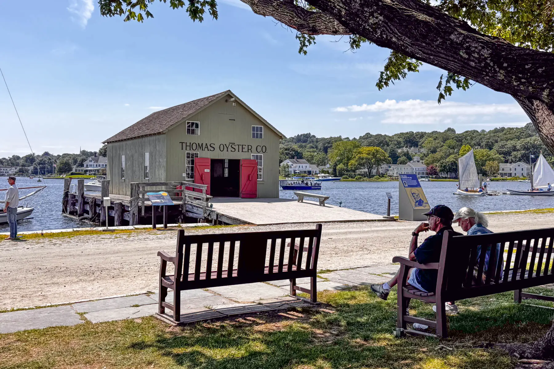 older man and woman sitting on wooden bench with baseball hats on looking out at the water in Mystic Seaport with white sailboats going by .