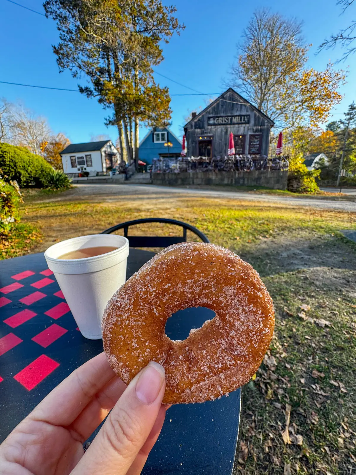 white woman's left hand holding an apple cider donut with white styrofoam cup on black table in background at a cider mill in mystic connecticut.