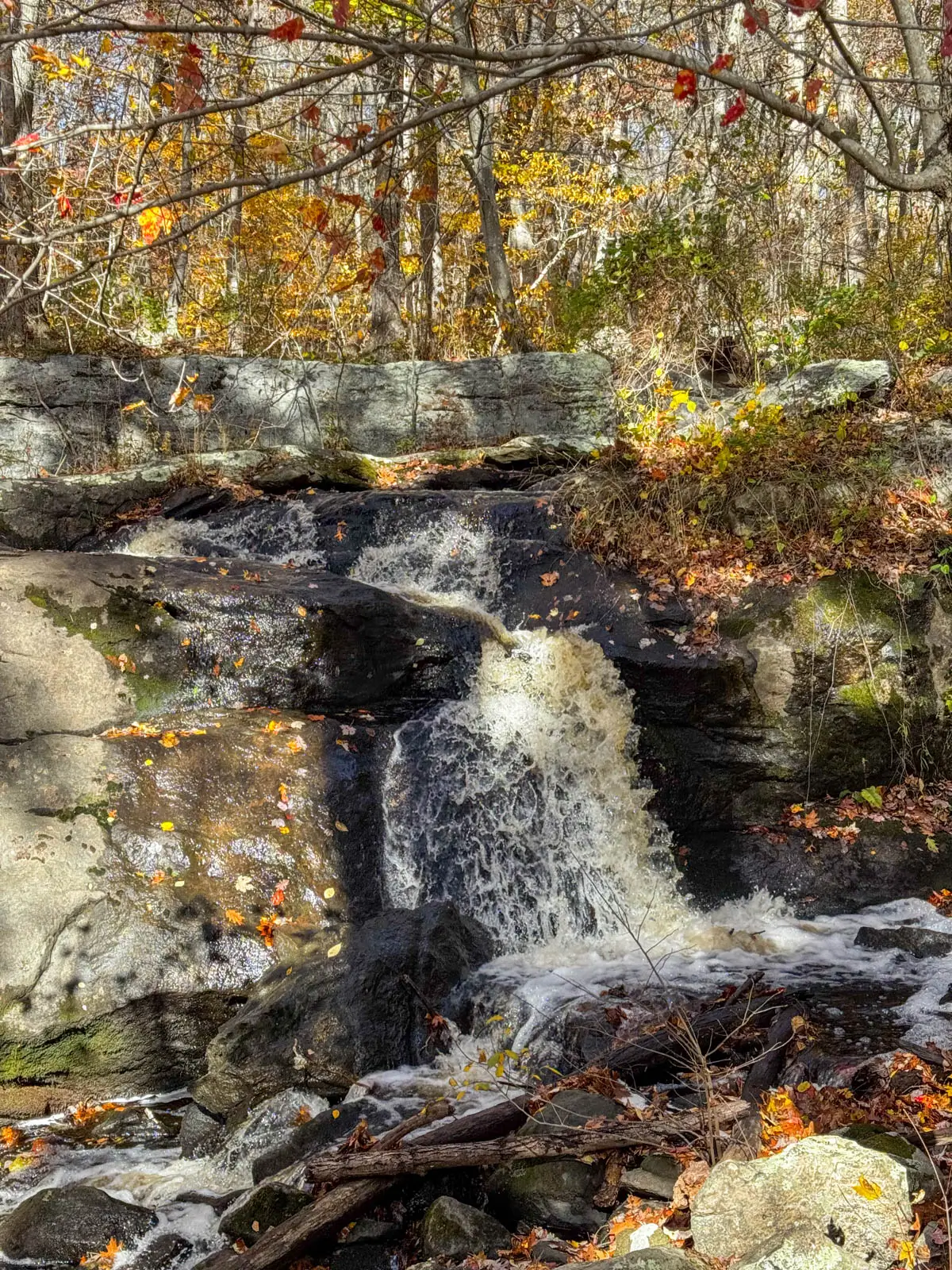 small waterfall tumbling down rocks with orange colored trees in background above the waterfall.