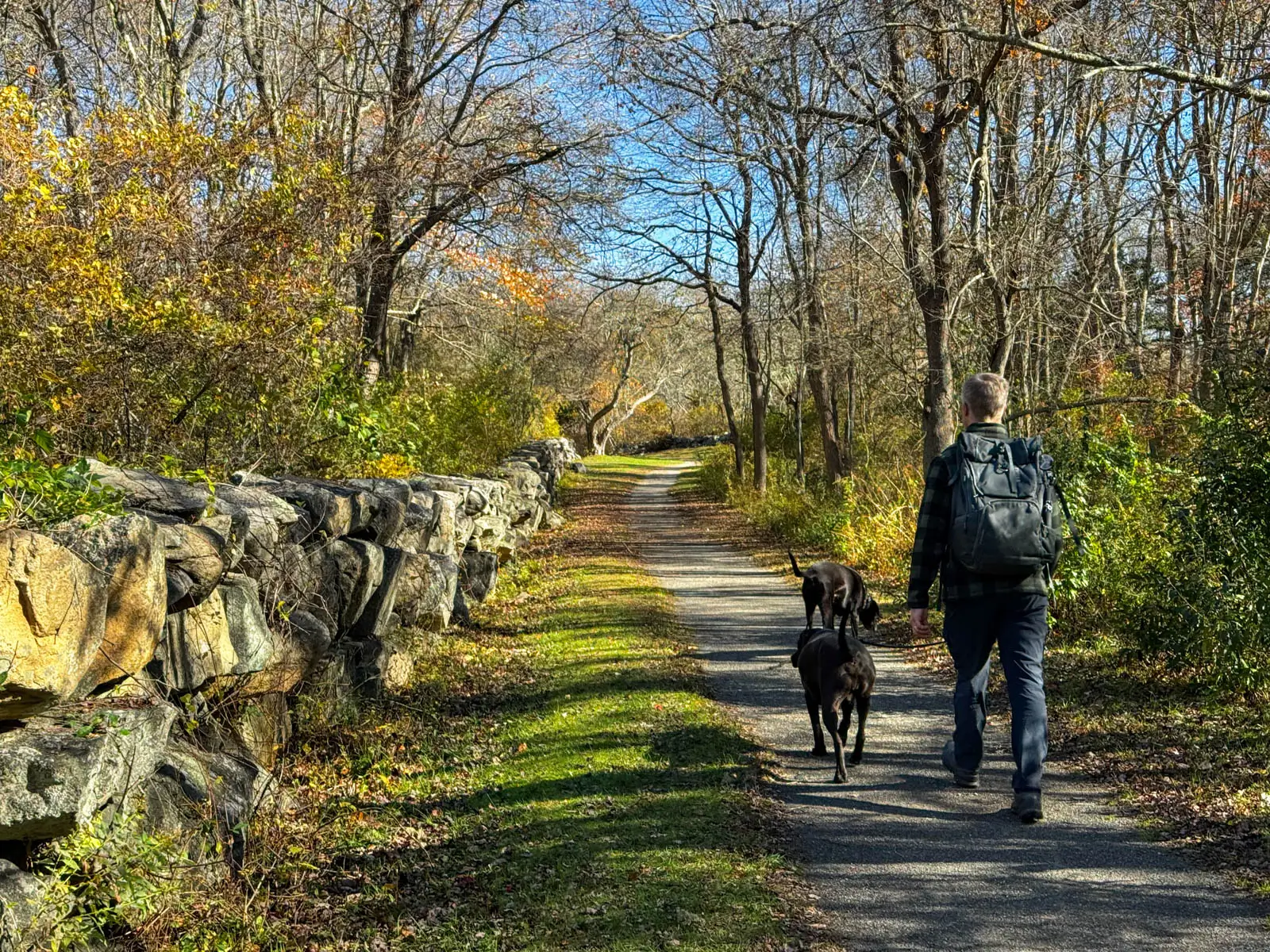 back of blonde man hiking along a wide dirt path with stone wall along the left and fall colored trees lining the path.