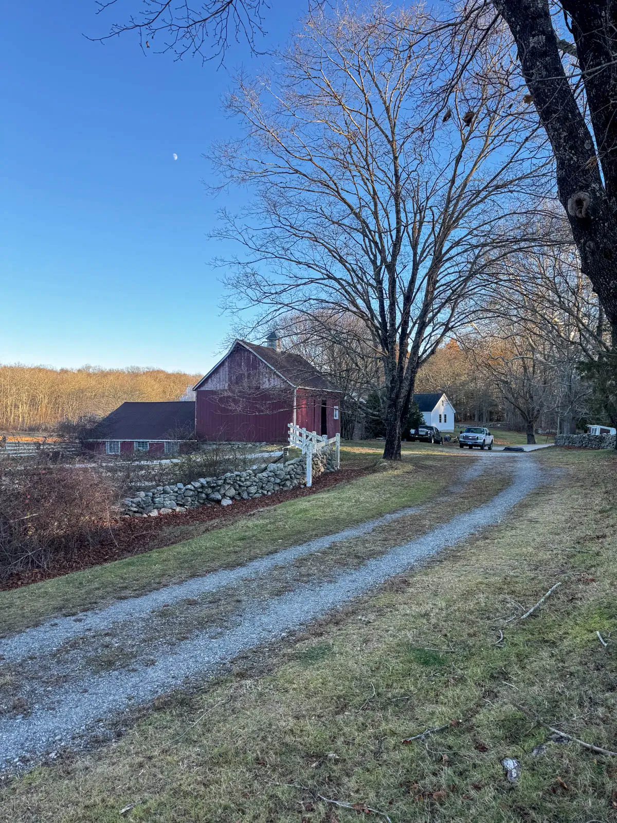 wide path through faded green grass on right side on a red barn at dusk with a soft glow in the clear blue sky and bare tree in fron of the barn in November.